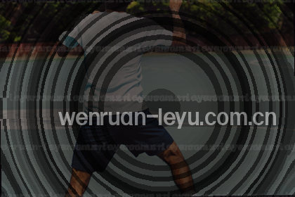 梅西凌空抽射入网 观众席瞬间沸腾